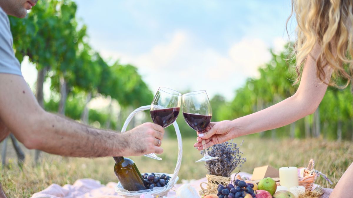 Woman and man making toasts with wine glasses. Picnic outdoors in the vine yard
